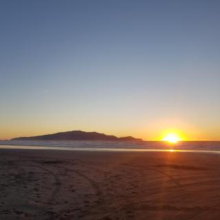 Near the shore - Waikanae - 0