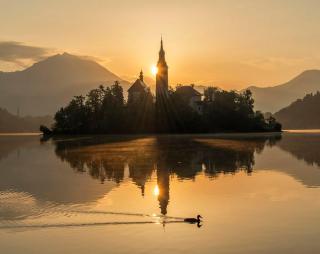 Apartments Koledniki - Bled - 1