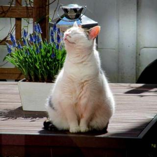 B&B Bij Tante Toos - 3