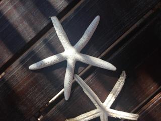 Villa Sciacca Lumia LUNA - 3