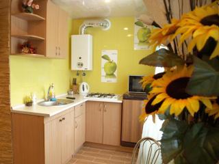 Квартира на проспекте Александра Поля с ромашками (Apartment on the Oleksandra Polia avenue with chamomiles) - Dnipro - 6