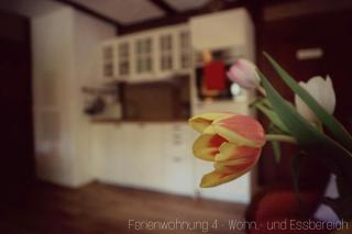 Apartment Grubenhaus20 - Freiberg - 8