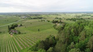 En Rouge et Noir - Monbazillac - 5