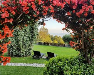 Bed and Breakfast Nefer - 6