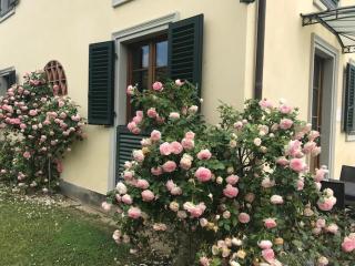 Residence Prunali - Massarosa - 3