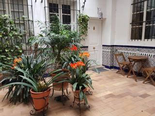 Apartamento Cruz Vieja - Jerez de la Frontera - 8