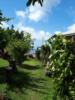 Gites Chez Marie Christine - 5