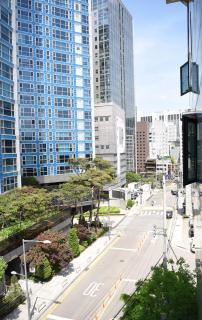 Namsan Forest in Myeongdong - Seul - 2