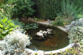 Hotel La Fenice - Formigine - 5