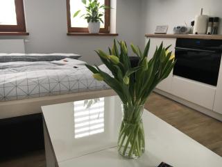 Apartamenty AP 1 - Częstochowa - 9