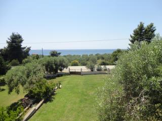 The Olive House - Nea Skioni - 6