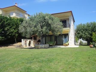 The Olive House - Nea Skioni - 0