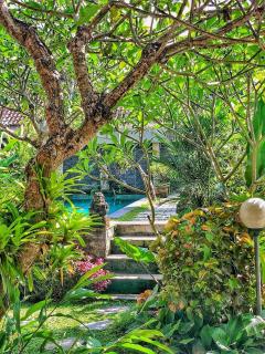 Ayu Bungalow 2 - Ubud - 2