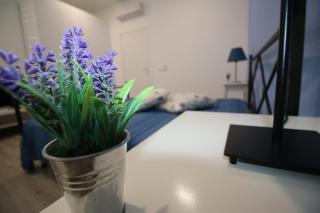 Casa Vacanze BIANCA - Pozzallo - 7