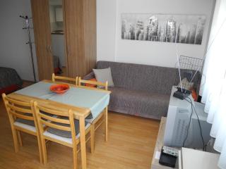 Apartment ZITA - Crikvenica - 1