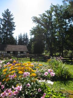 Ferienwohnung Hubner - 1