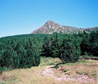 Camping du Meygal - Saint-Julien-Chapteuil - 3