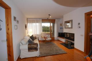 Cozy Apartment in Alp - Alp - 0