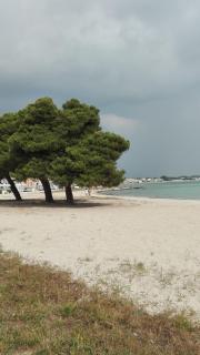 L'Angulus Ridet - Porto Cesareo - 3