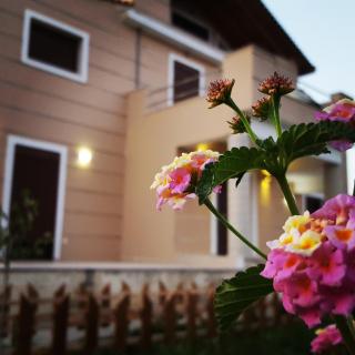 Villa Luna - Kalamaki - 4