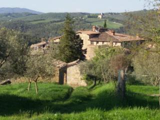 La Campesa - Vagliagli - 8