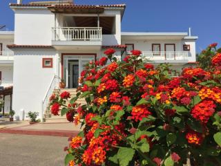 Kipriotis Hotel - Arkoudi - 4