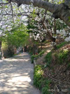 Segni e Impronta - Finale Ligure - 4