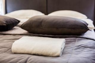 Royal Luxury apartment on Tsehova 9 - 8