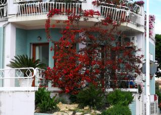 Il giardino all'angolo - Villacidro - 9