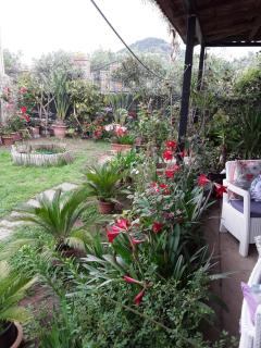 B&B Molly - Santa Maria di Castellabate - 1