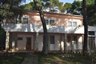 Apartments Diana & Josip - Biograd na Moru - 5