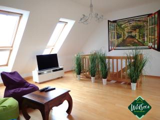 Wild Soca House Apartment No.5 - Bovec - 2
