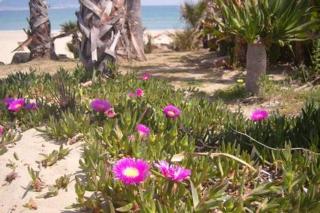 Apartamento a la Playa - Algeciras - 6