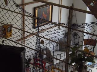 Giardino Nascosto - 5