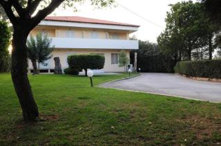 Hotel Pantheon - Markopoulo - 4