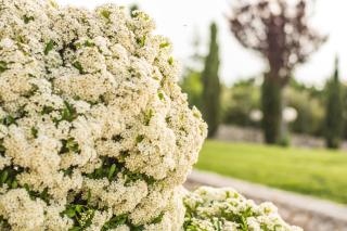 Miramurgia B&B - Gravina in Puglia - 7