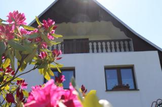 Pension Hubertushof Monteurunterkunft - Freiberg - 4