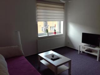 Apartmán Prefa - Benešov nad Ploučnicí - 8