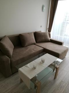 Ąžuolo apartamentai - Birštonas - 6
