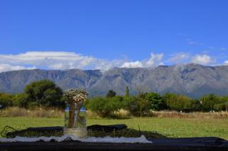 Rancho La Peregrina - 7