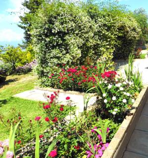 Olga's Hill - Perama - 2