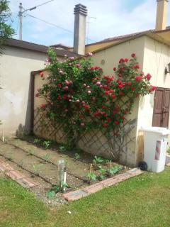 Bed And Breakfast Di Manu - Taglio di Po - 3