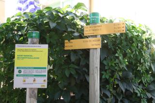 La Maison Verte - Les Plantiers - 6