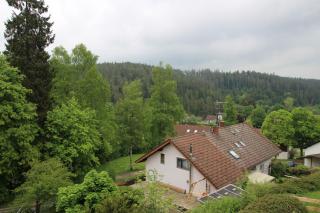 Kuckucksnester Friedenweiler - Friedenweiler - 9
