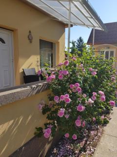 Milán Apartment - 5