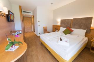 Hotel Ambassador - Levico Terme - 4