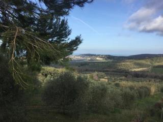 Agriturismo Le Rondini Di San Bartolo - San Vincenzo - 4