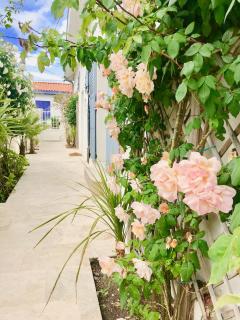 Villa LE TROIS MÂTS - Arcachon - 7