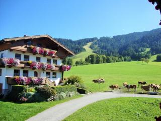 Sixenhof - Niederau - 7