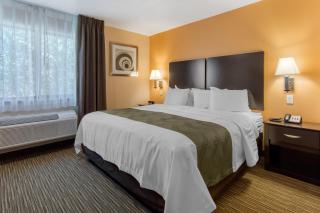 Quality Inn & Suites Albuquerque North near Balloon Fiesta Park - Albuquerque - 8